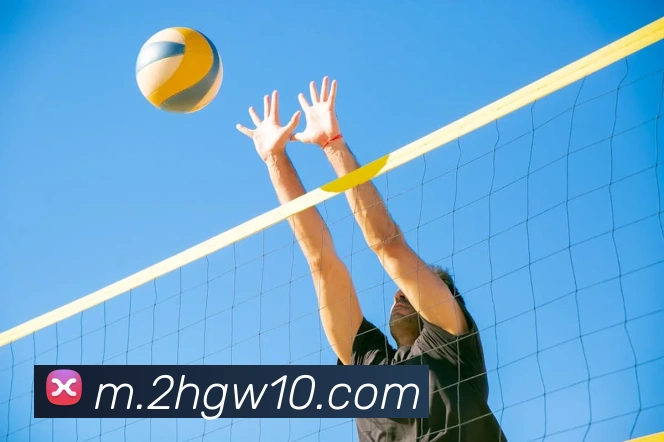 多彩内容专区